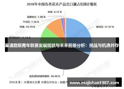 塞浦路斯青年联赛发展现状与未来前景分析：挑战与机遇并存